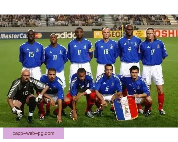 法国世界杯回顾：从胜利到传奇的诞生，足坛盛宴再度震撼全球